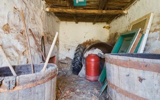 Casă de vacanță de vânzare în Tauț - Poză 15