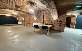 SAD - Spatiu comercial central de 160mp in Arad - ideal: crama, cafenea, magazin - Poză 11