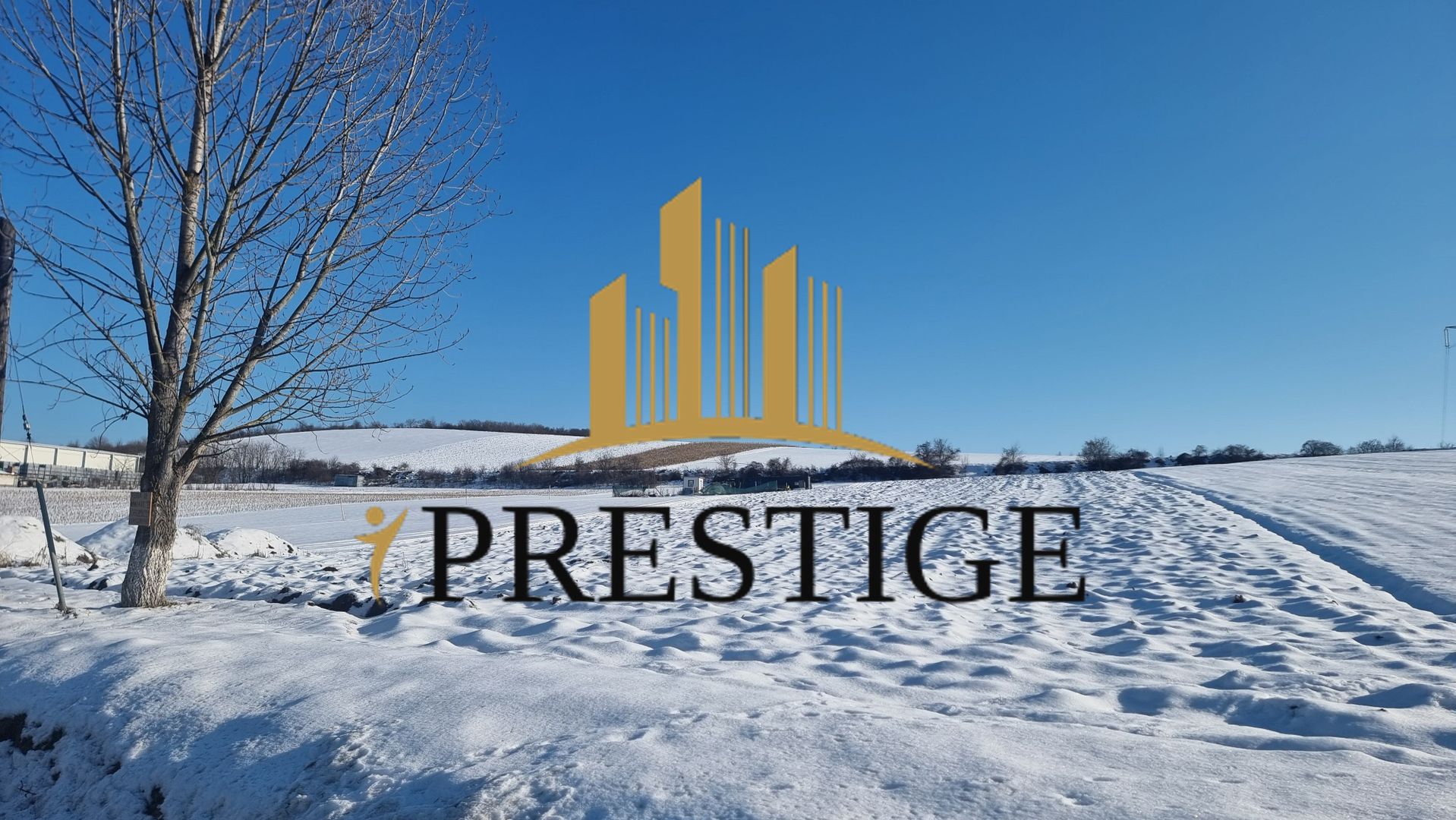 FĂRĂ COMISION | TEREN 6695 MP ÎN ȘURA MARE - Poză 9