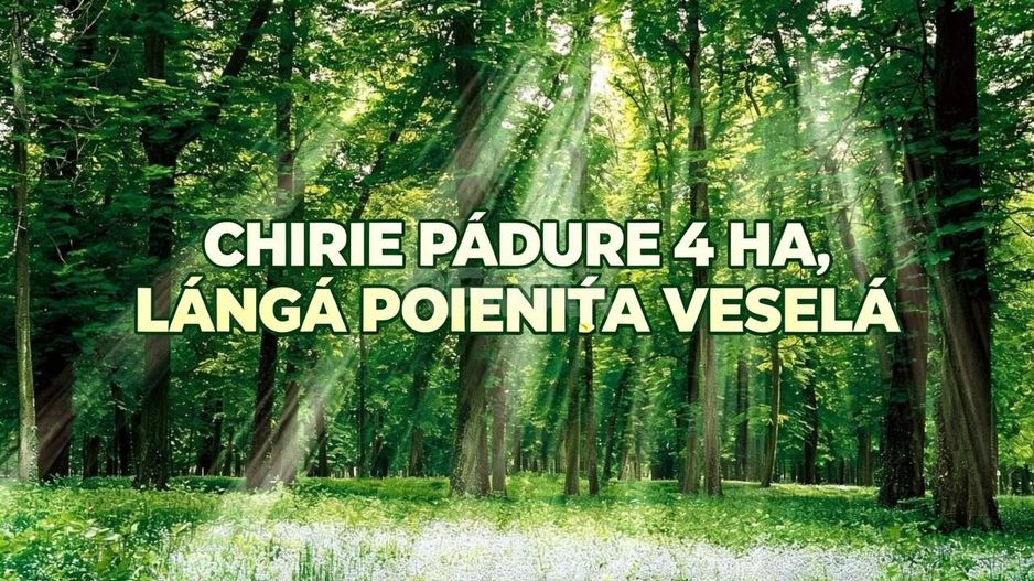 Chirie teren forestier -  4 ha direct la traseul Chișinău-Hîncești - Poză 1