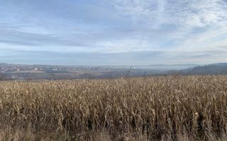 Teren intravilan de vânzare | Cajvana | 7.800 mp - Poză 5