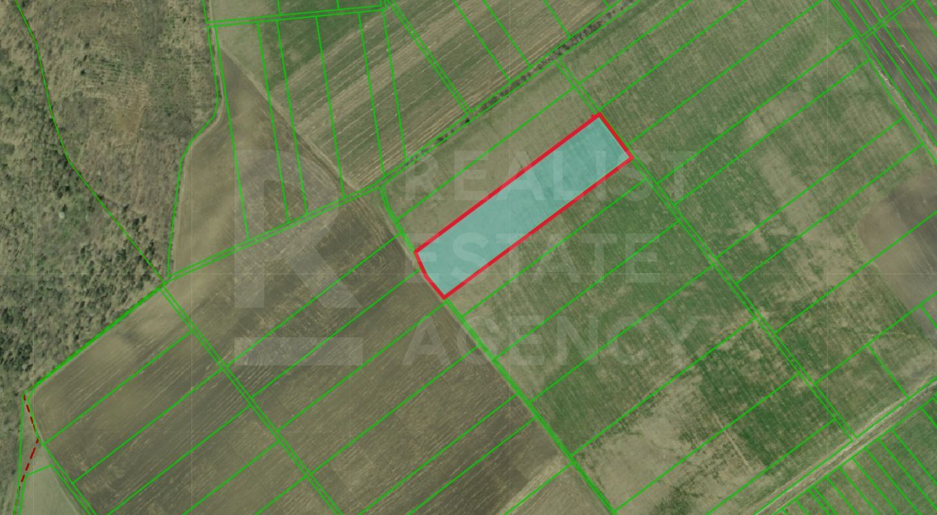 Vânzare, teren agricol, 150 ari, satul Colonița - Poză 2