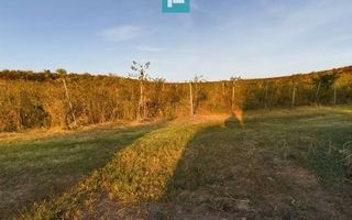 Pivnițele Birăuaș D.O.C Miniș - RATE FĂRĂ DOBÂNDĂ - Poză 40