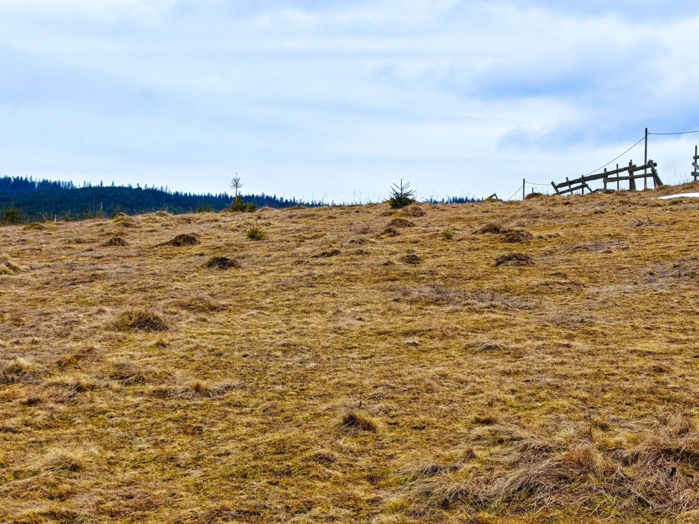 3149 MP in Statiunea Turistica Montana, Belis - Cluj, VEDERE LA LAC - Poză 2