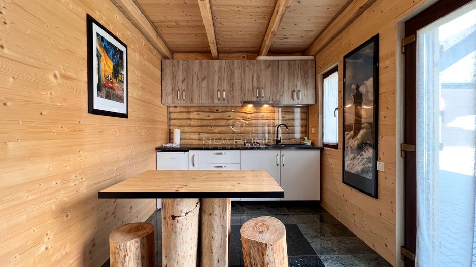 Apartament 1 camera in regim hotelier, Casa TIMIS - Poză 3