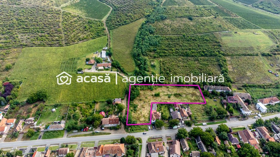 Teren de vis în Ghioroc! Stațiunea supranumită ”Litoralul Vestului” - Poză 8