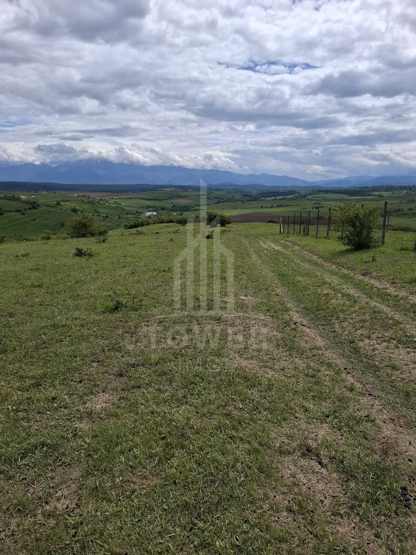 De vanzare, teren 11.500 mp – Dealul Dăii,  Vedere panoramică spre munți și lac - Poză 2