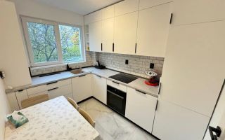 Ap 3 camere, renovat PREMIUM, 2 terase + 2 locuri de parcare- Podu Ros - Poză 5