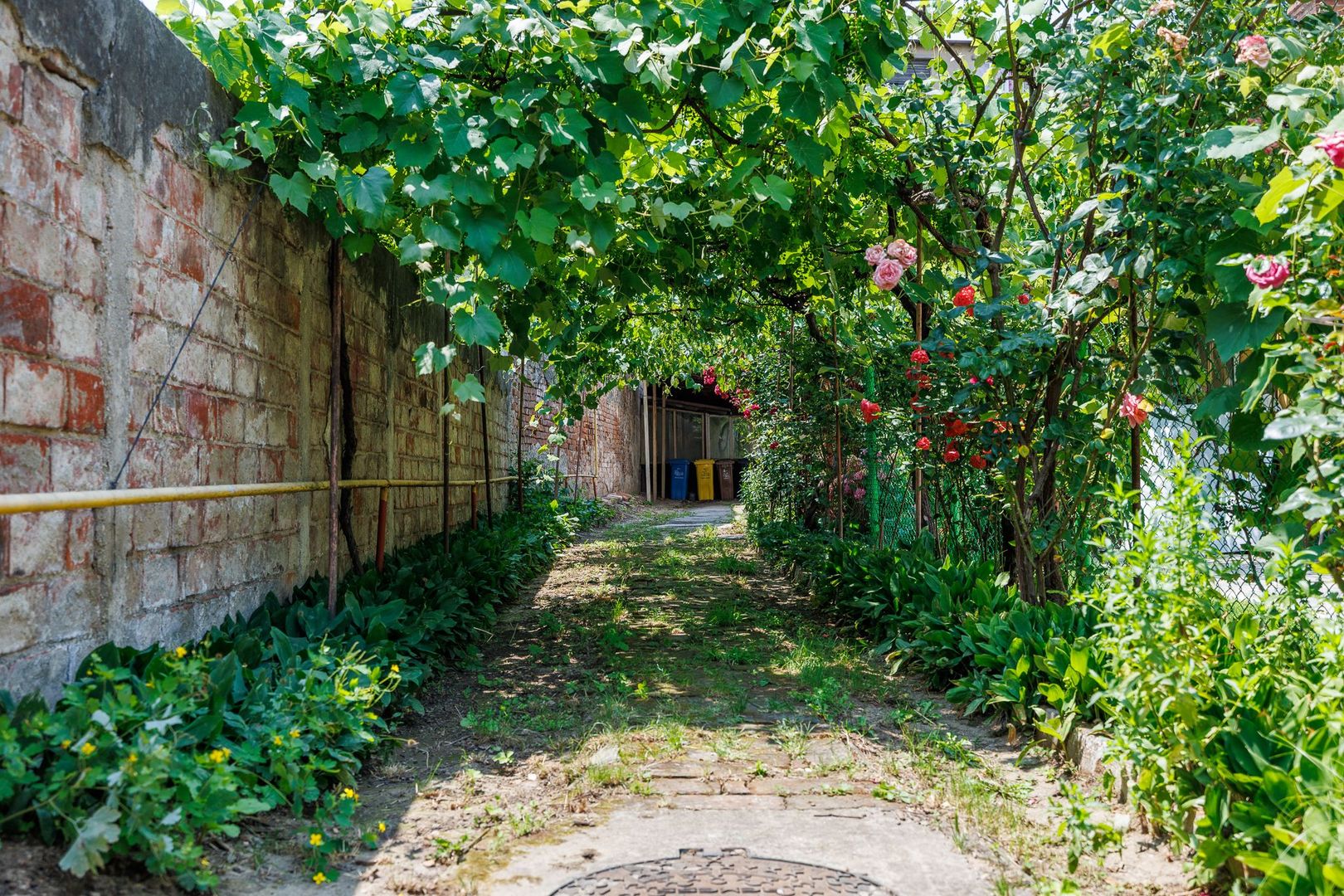 FOISORUL DE FOC | Teren 259mp cu casa veche 9 min metrou Iancului - Poză 1