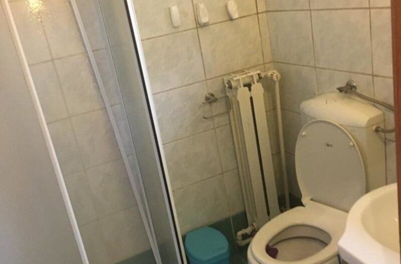 Cotroceni Vila, Palatul Cotroceni - Poză 7