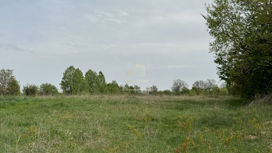 TEREN INTRAVILAN, 7472 MP, VALEA MARE PRAVAT, ARGES - Poză 7