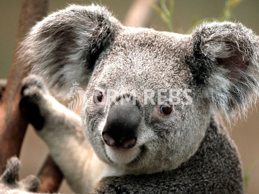 Apartament frumos de 74 mp - Poză 3