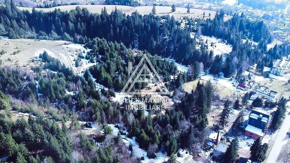 Teren 8 ha cu 15 izvoare minerale, lângă Câmpulung Argeș - Poză 1