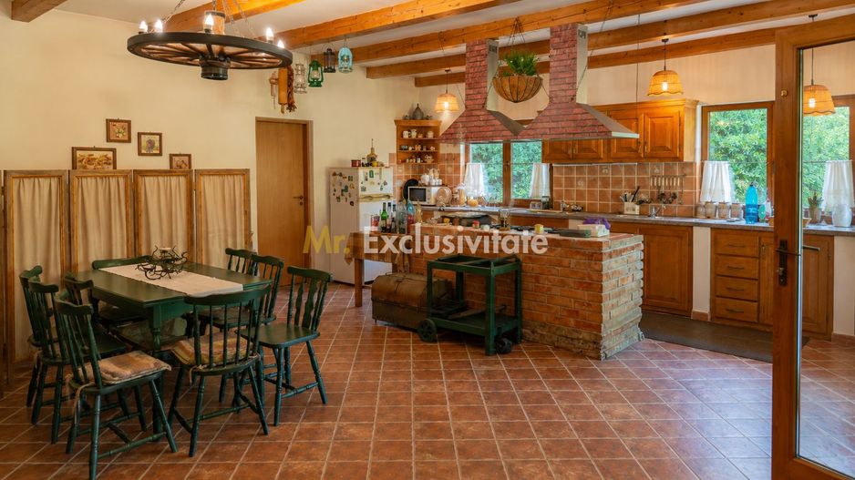 La Dolce Vita-casa vintage/moderna-Somesul Rece - Poză 5