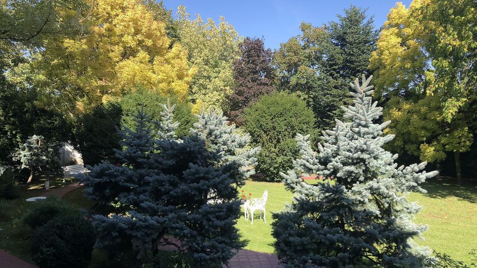 PROPRIETATE CU ENERGIE PURA |  Sanctuarul Eleganței și Rafinamentului - Poză 21