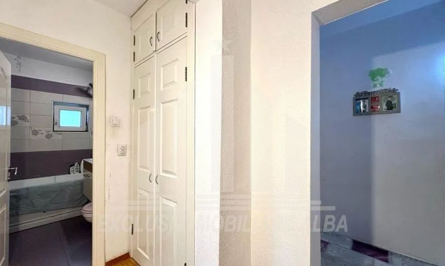 Apartament cu 3 camere decomandate, Cetate - Poză 8