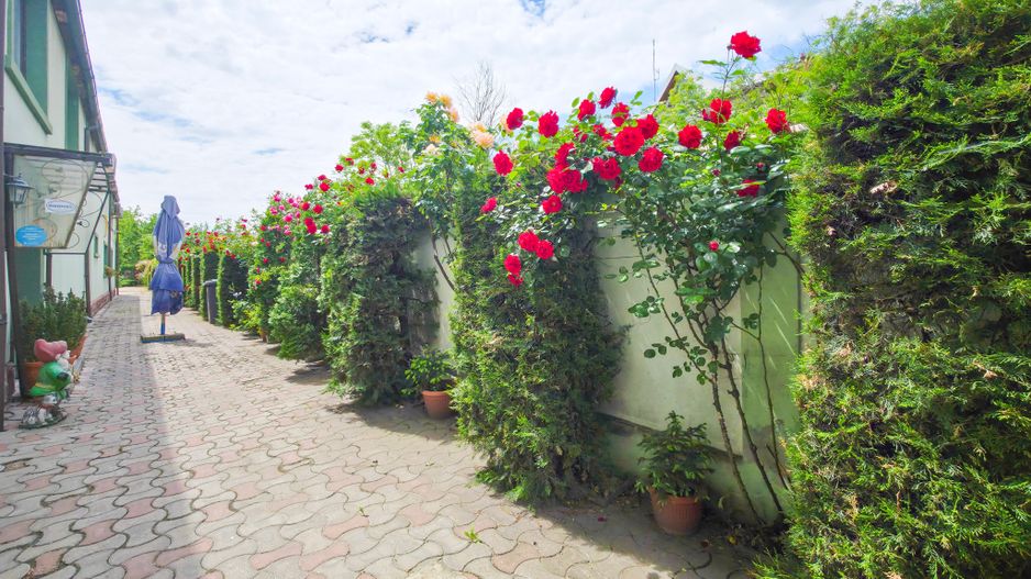 De vânzare – Proprietate comercială tip Restaurant & Salon Evenimente - Poză 36