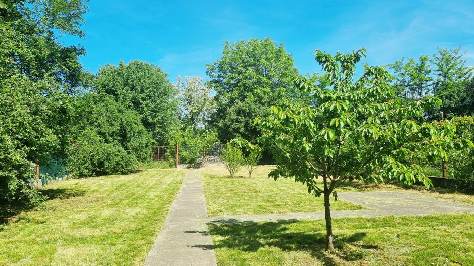 Casă / Vilă cu 5 camere de vânzare Alexandriei/Ion Conea - Poză 11