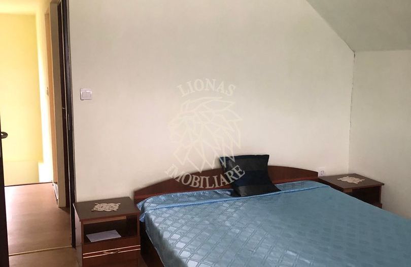 Casa de vacanta 200 mp-deschidere la Lac Colibita-EXCLUSIVITATE - Poză 3