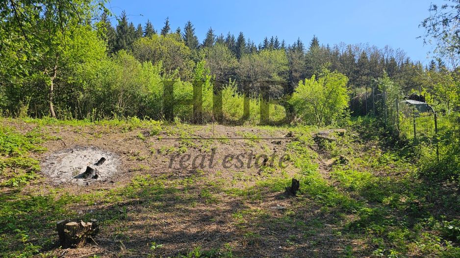 Teren intravilan | langa padure si parau | Luncani/Bacau - Poză 7