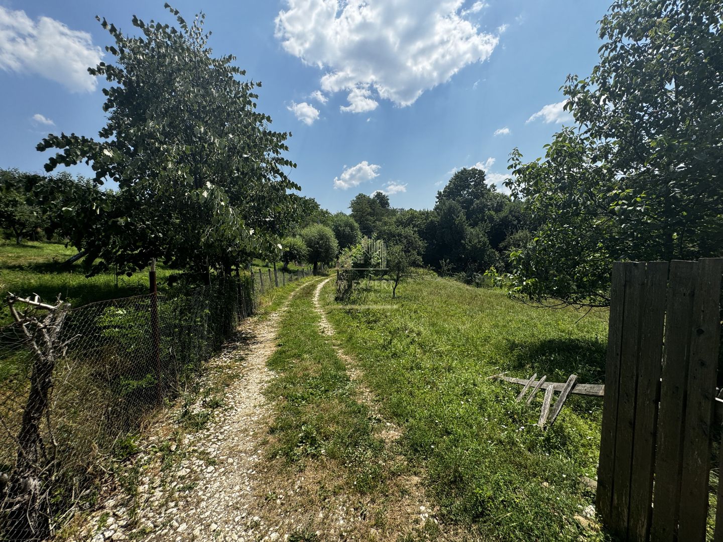 TEREN INTRAVILAN 2146 MP, ALBESTII DE MUSCEL, ARGES - Poză 8