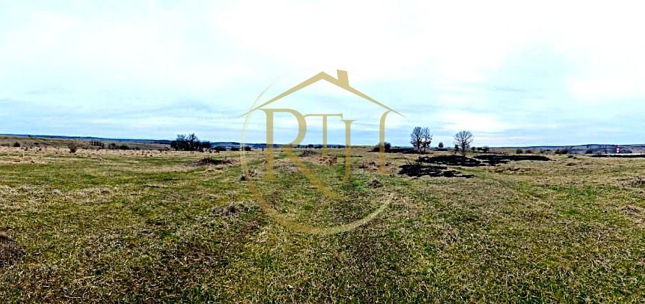 Terenuri extravilane de vânzare – Vizma & Crivobara, comuna Secaș, jud. Timiș - Poză 12