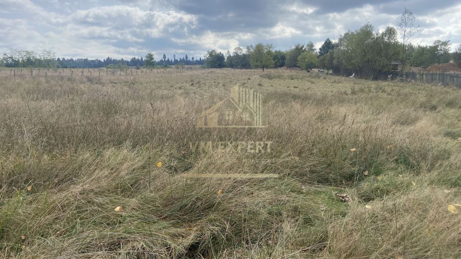 TEREN INTRAVILAN 5000 MP, GRUI, CAMPULUNG - Poză 3