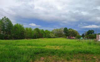 Teren Intravilan | 952 mp | Zona UAC – Tăuții Măgherăuș - Poză 4