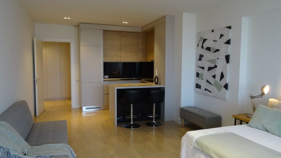 Studio Iancu Nicolae 133-Residence 5 - Poză 11