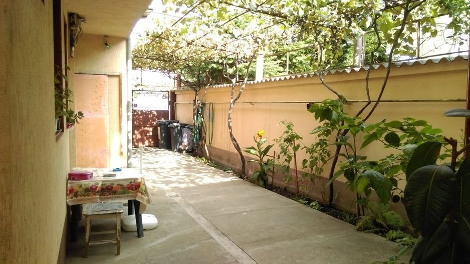 Mihai Bravu, Vitan - Poză 2