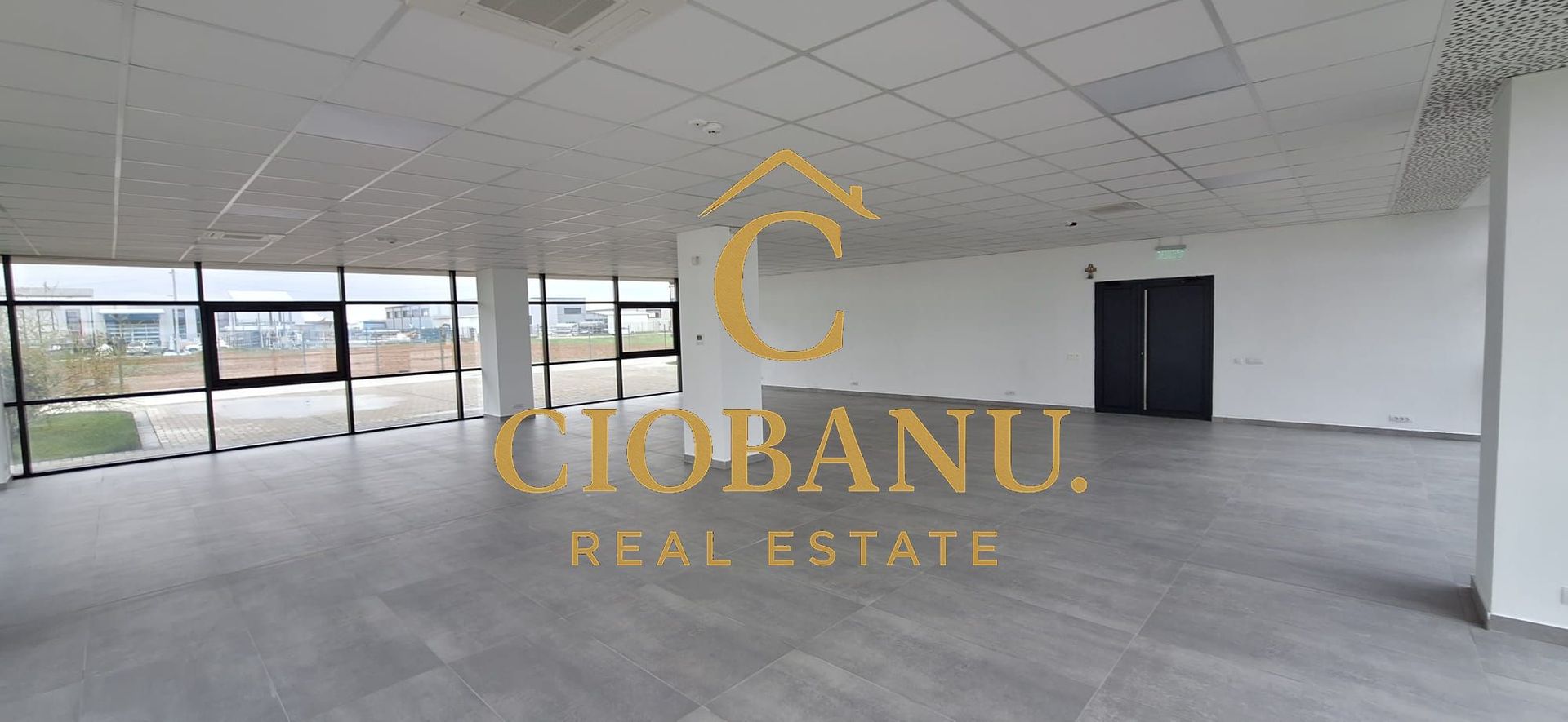 Hale industriale+Cladire de Birouri de inchiriat zona Aeroport - Poză 10