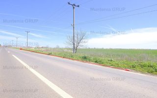 Unicat ! Dascalu, 65.000 mp. teren cu deschidere de 102 ml. la DJ 200 - Poză 2