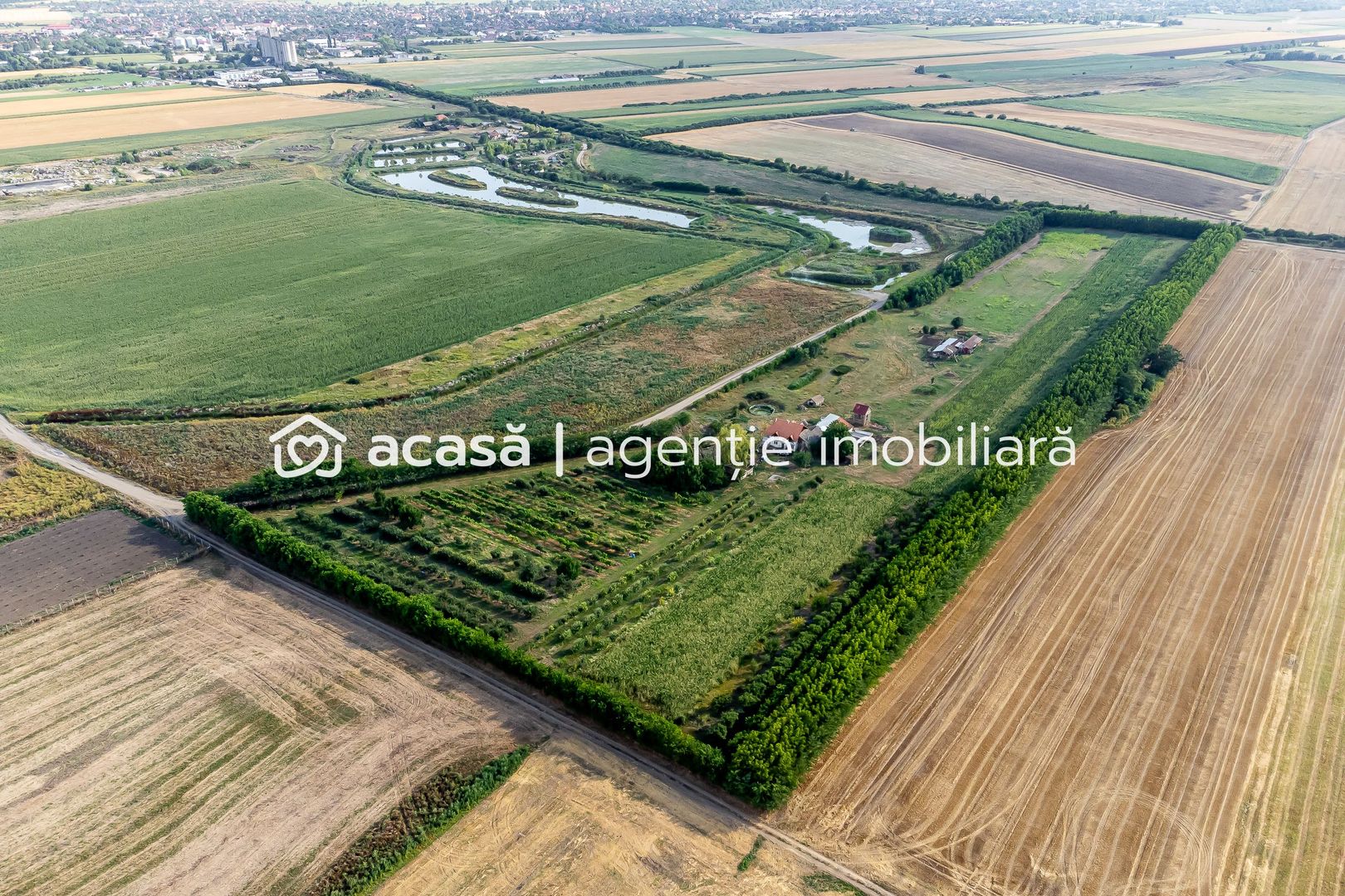 Preț nou! De vânzare teren 7.6 Ha în Pecica - Poză 3