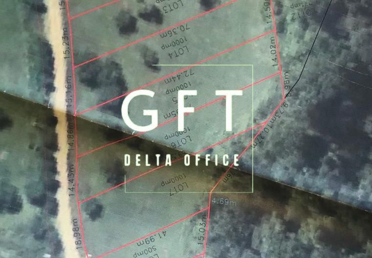 Teren zona drumul Tarpiului , doua parcele - Poză 2