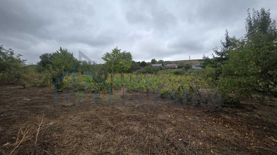 Case tradiționale în Scoposeni, comuna Gorban - 2 locuințe pe teren de 2400 mp - Poză 6