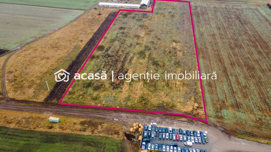 Teren 3.65h zonă industrială, Sânicolaul Mic. - Poză 3