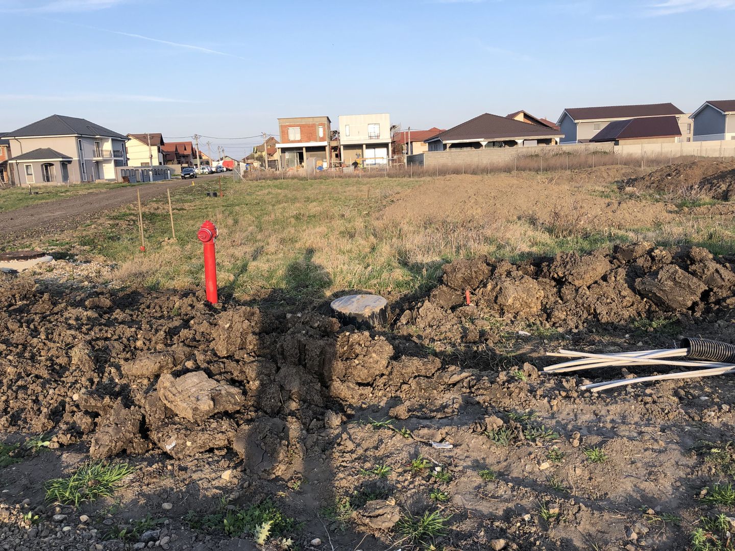 Teren Sinandrei - 2 FS- zona str Lalelelor - Poză 2