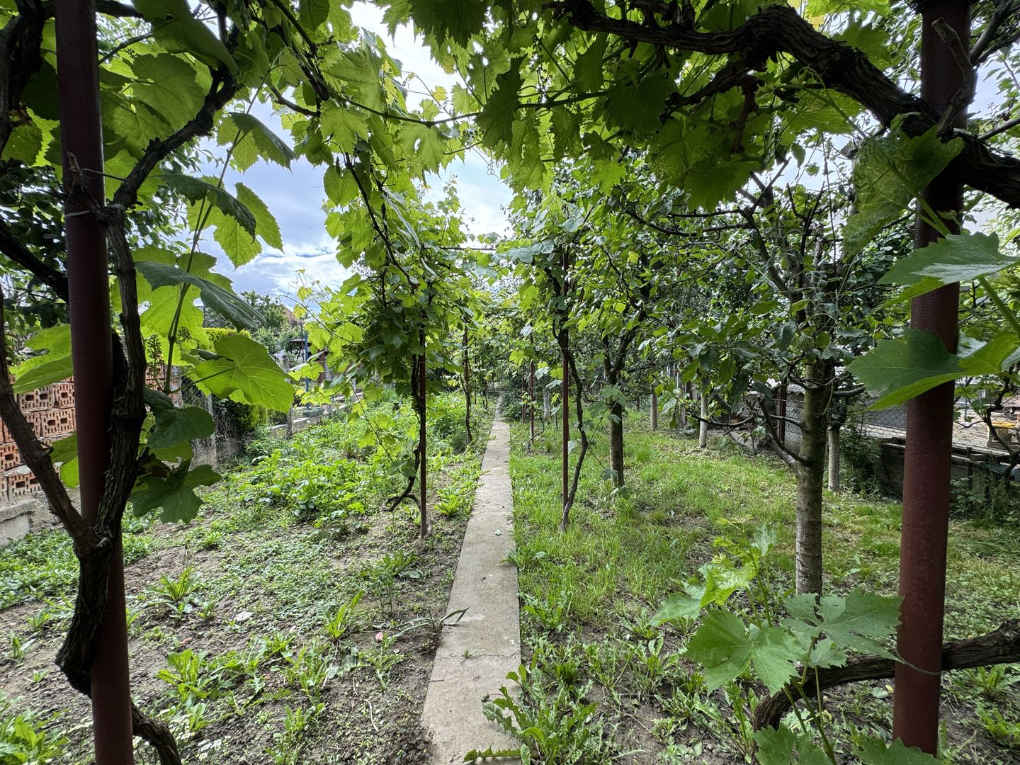 Casa in Lugoj pe Str. Fagetului - Poză 4