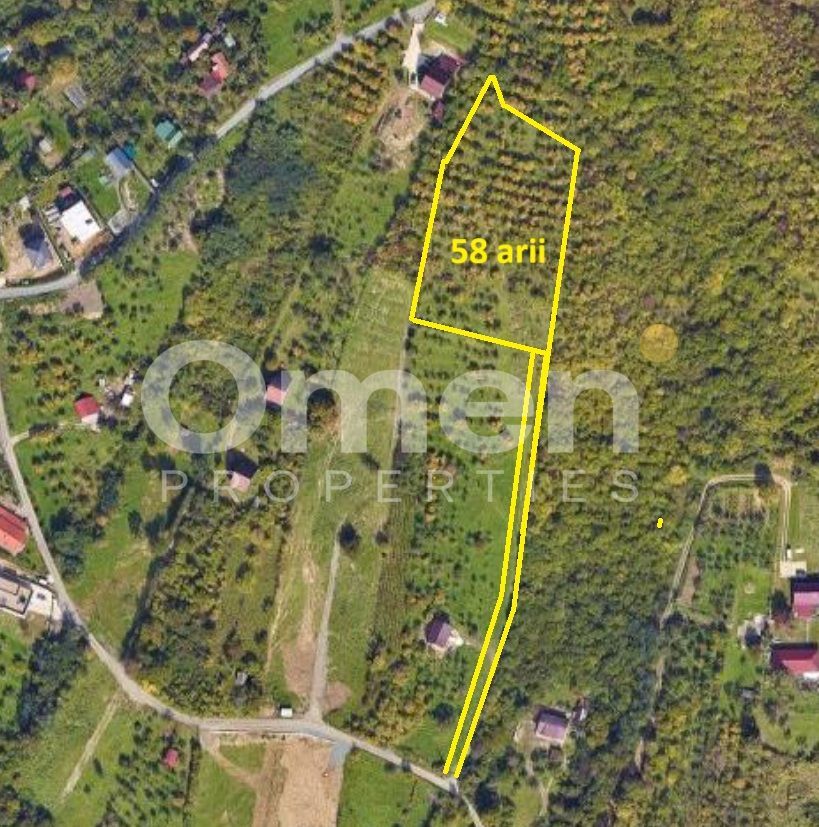 Teren 58 arii cu deschidere la drumul principal – Miron Costin - Poză 1