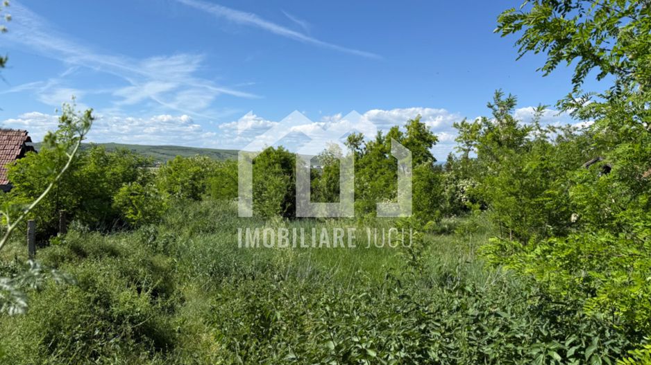 Teren intravilan construibil – 1.750 mp | Jucu de Sus - Poză 3
