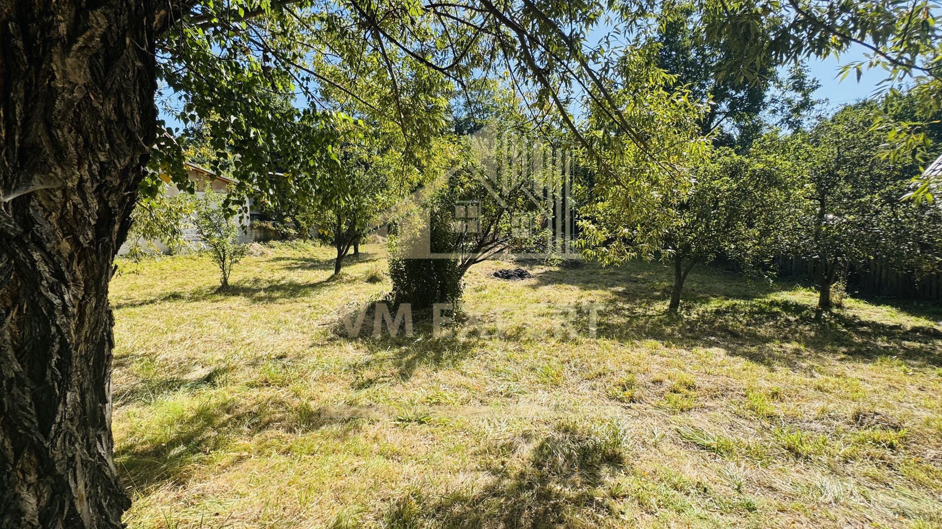 TEREN INTRAVILAN 3234 MP LEREȘTI VOINEȘTI ARGEȘ - Poză 5