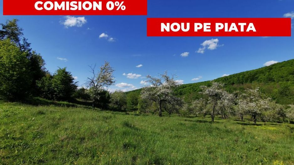Teren 680mp Budeasa Mica, AG - Poză 1