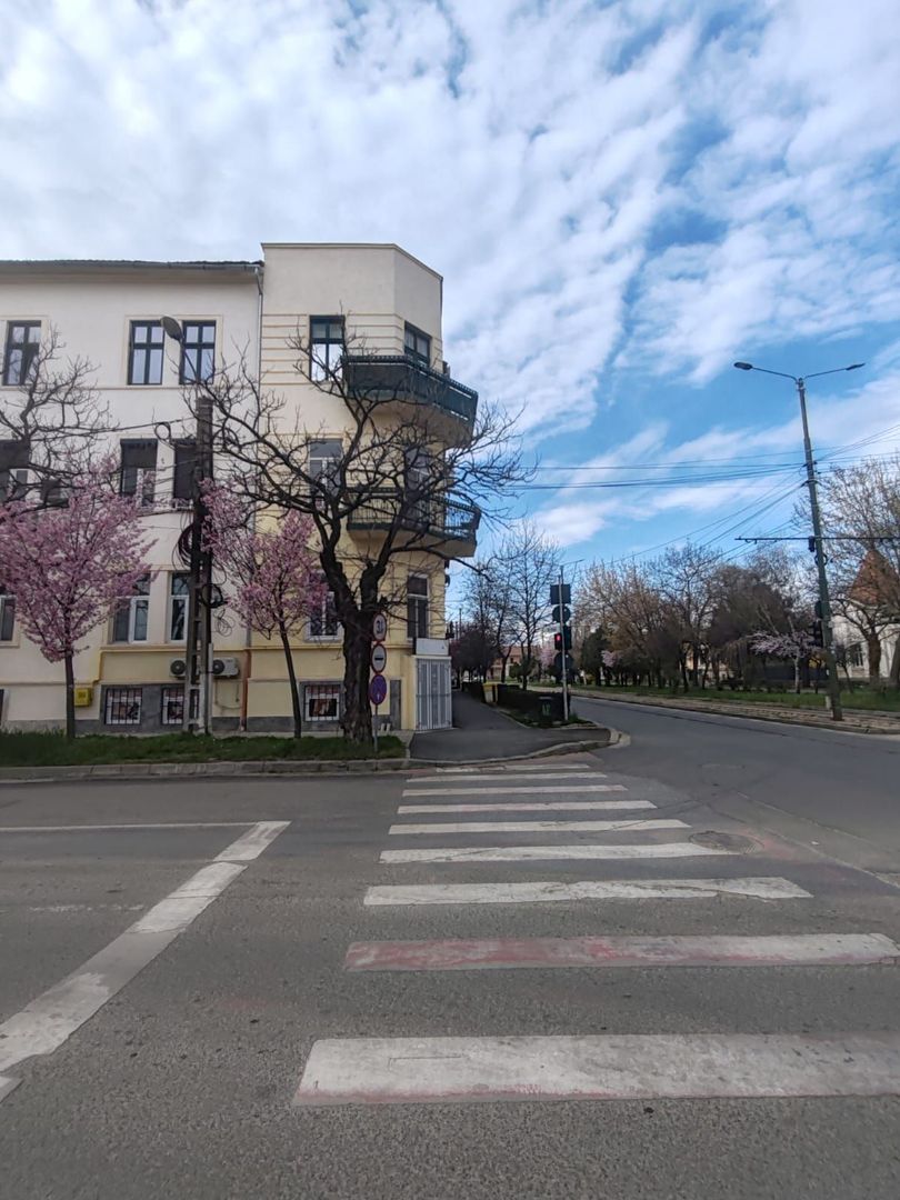 Apartament 2 camere | Demisol | Kogălniceanu | Comision 0 - Poză 1