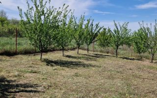 Teren intravilan de vanzare in zona Copou, langa Pensiunea Carolina, Iasi - Poză 6