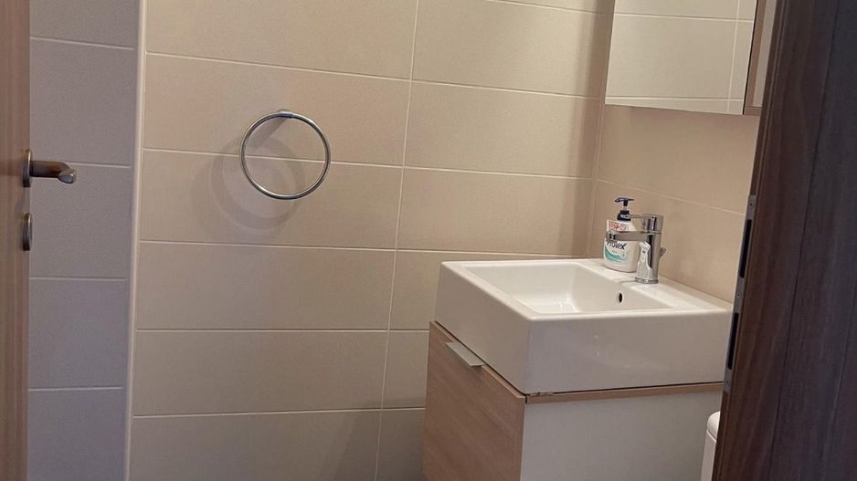 AP. 3 CAMERE - DOAMNA GHICA, BLOC REABILITAT, MOBILAT/UTILAT MODERN - Poză 8