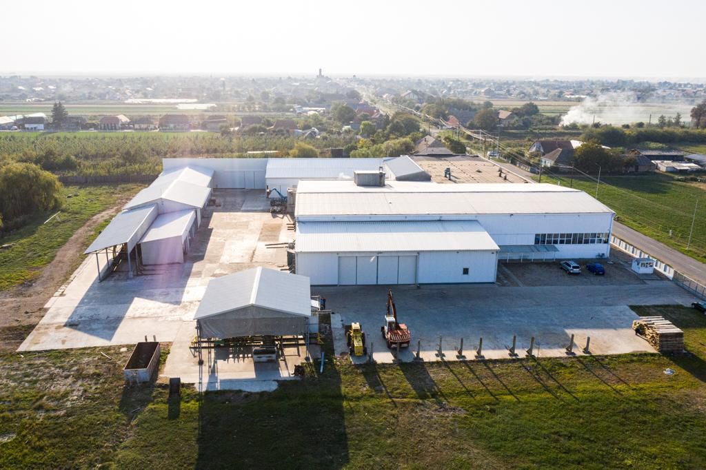 Spatiu industrial productie/ depozitare, Timiș - Poză 4