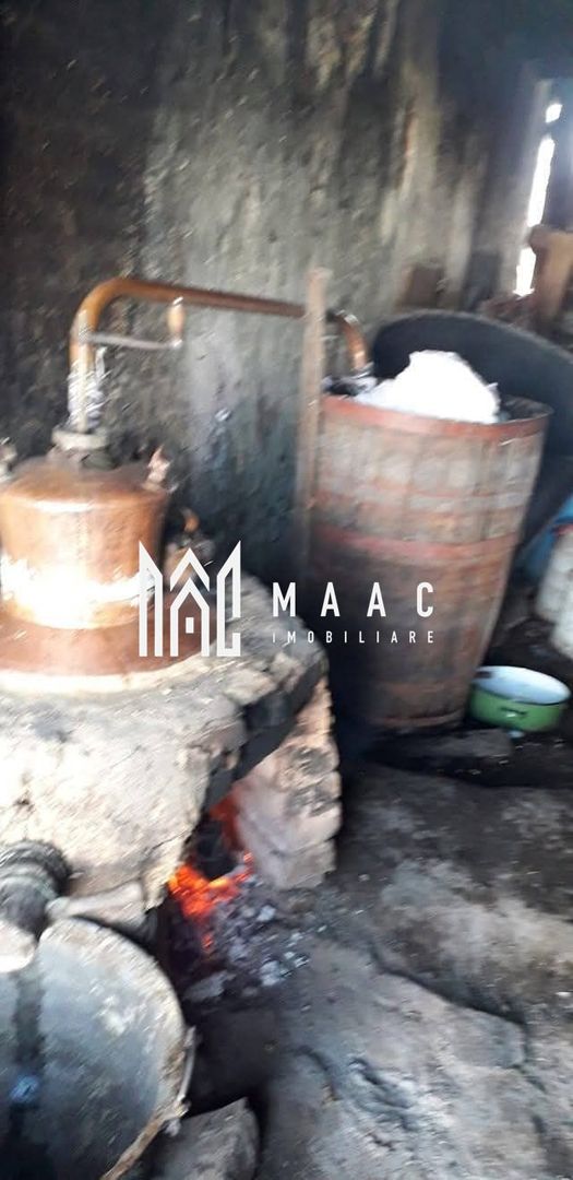 Proprietate cu 60000 mp pamant la pret de apartament - Poză 1