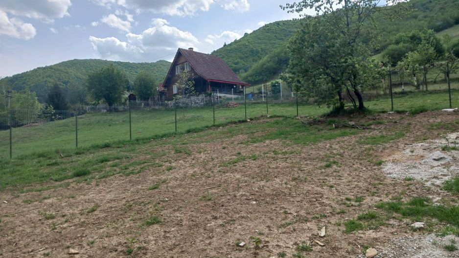 Teren Extravilan situat la intersectia DN1 cu Transfagarasan - Poză 4