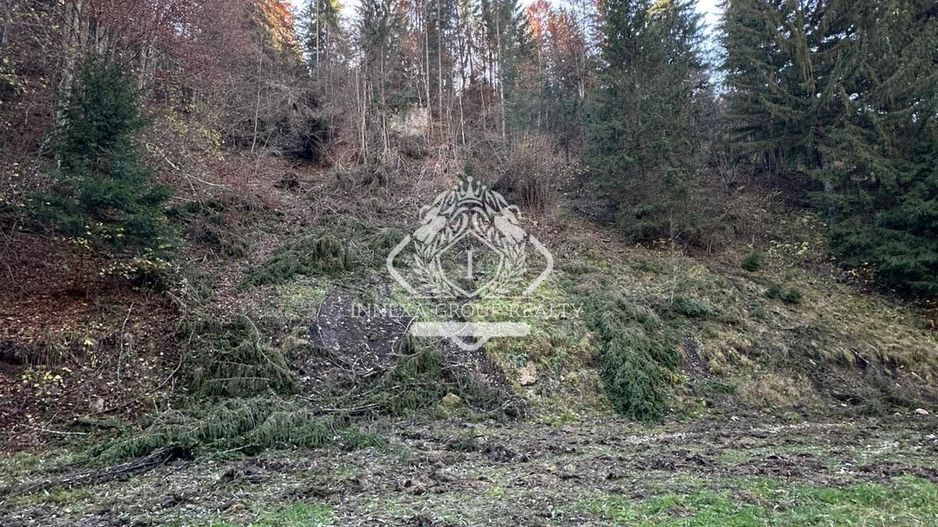 Teren 2.882 mp – oportunitate investitie - Cheile Dâmbovicioarei - Poză 4