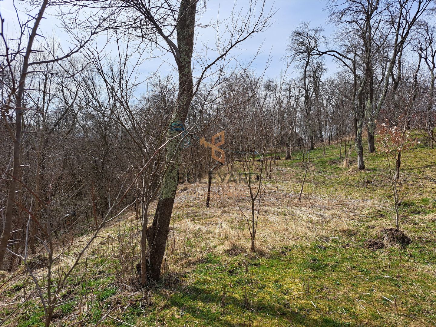 Teren intravilan 2200 mp in Ciurila la 16 km de Cluj-Napoca! - Poză 7